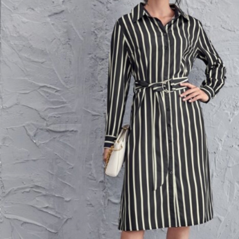 Button Down Dress - Picture 4 of 6